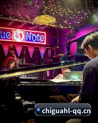 星闻矩阵上线